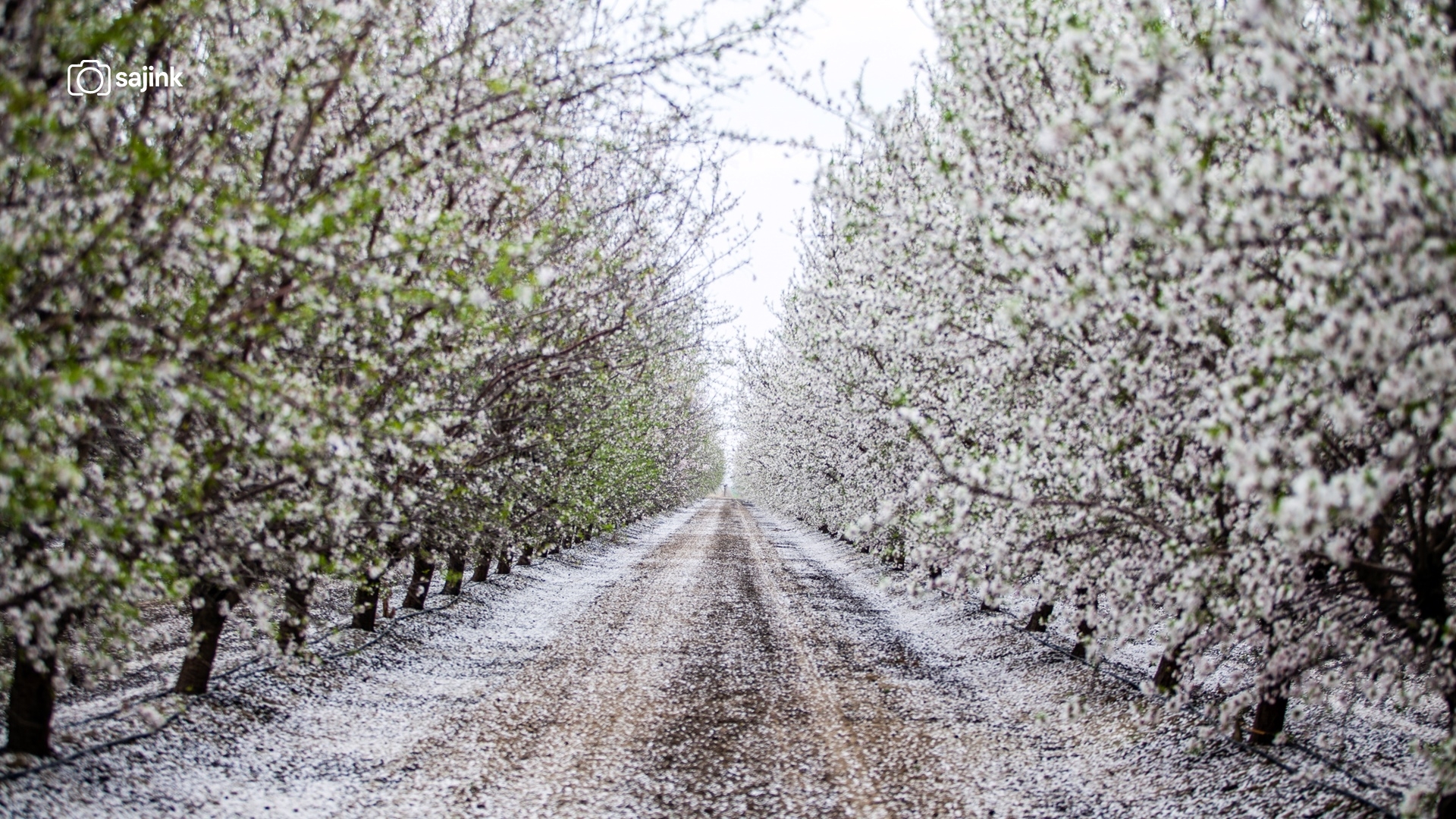 Arvin, Kern County, California