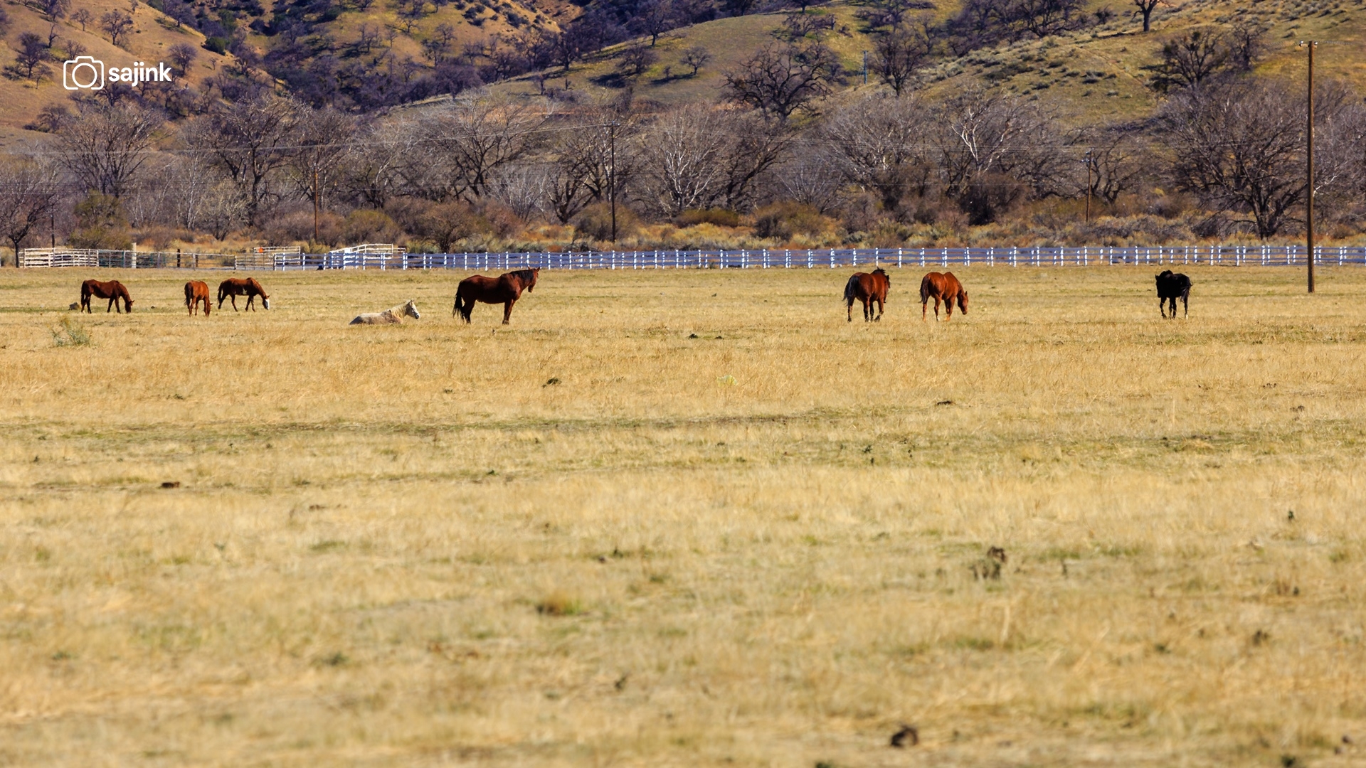 Bakersfield, Kern County, California