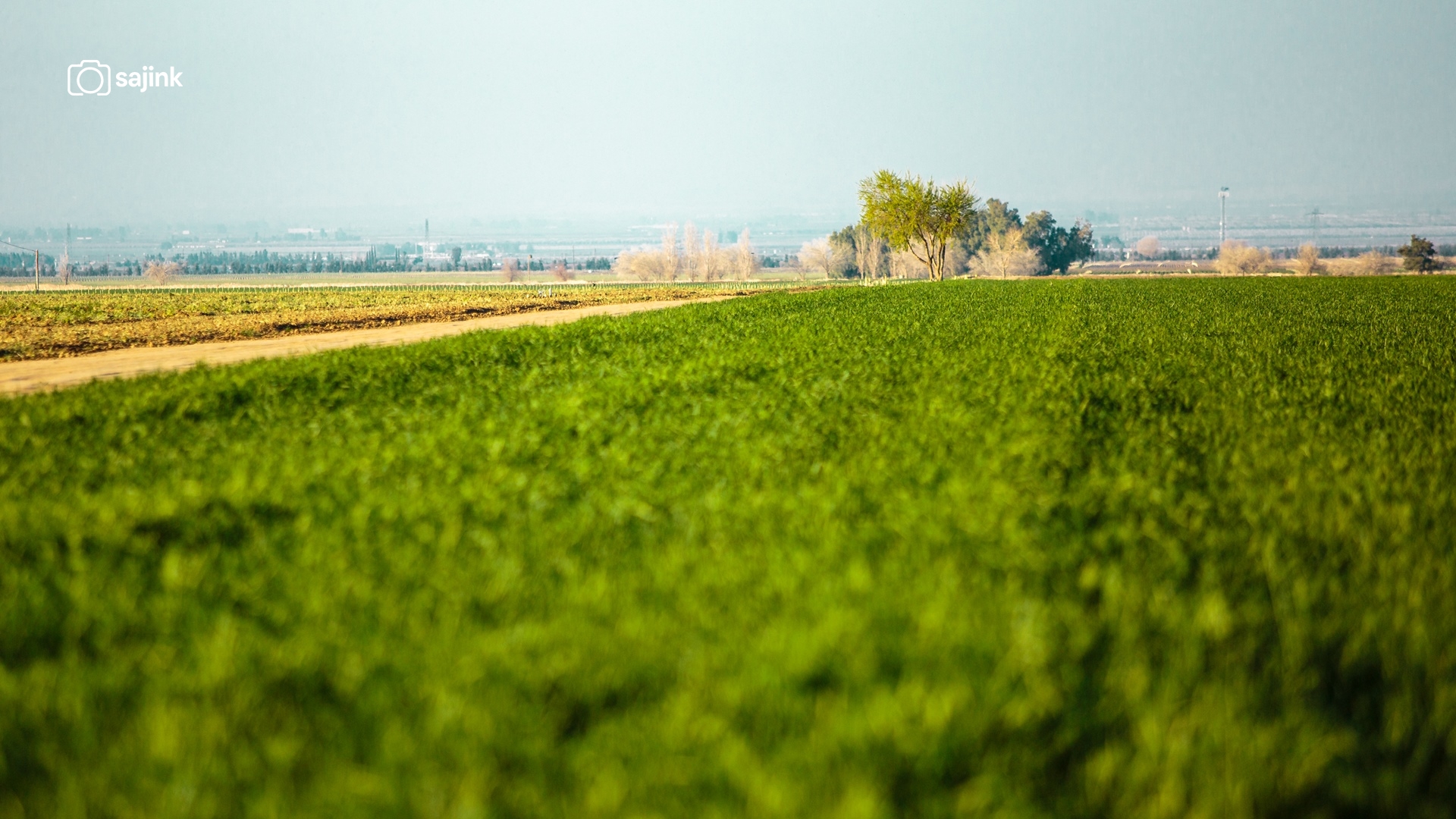 Arvin, Kern County, California
