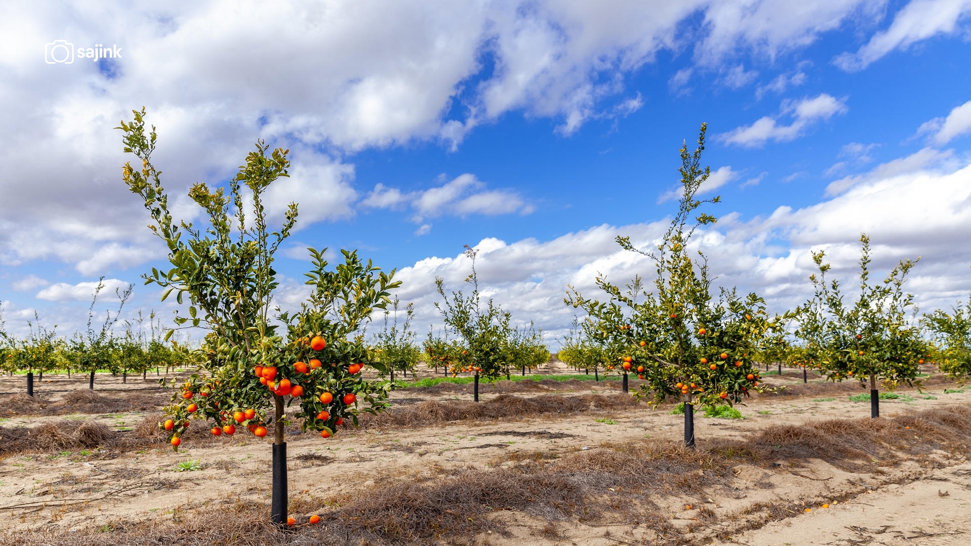 Arvin, Kern County, California