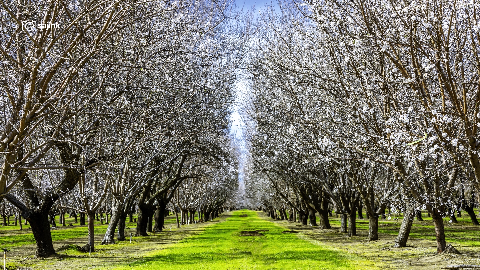 Arvin, Kern County, California