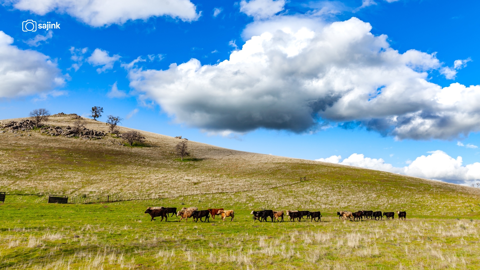 Bakersfield, Kern County, California