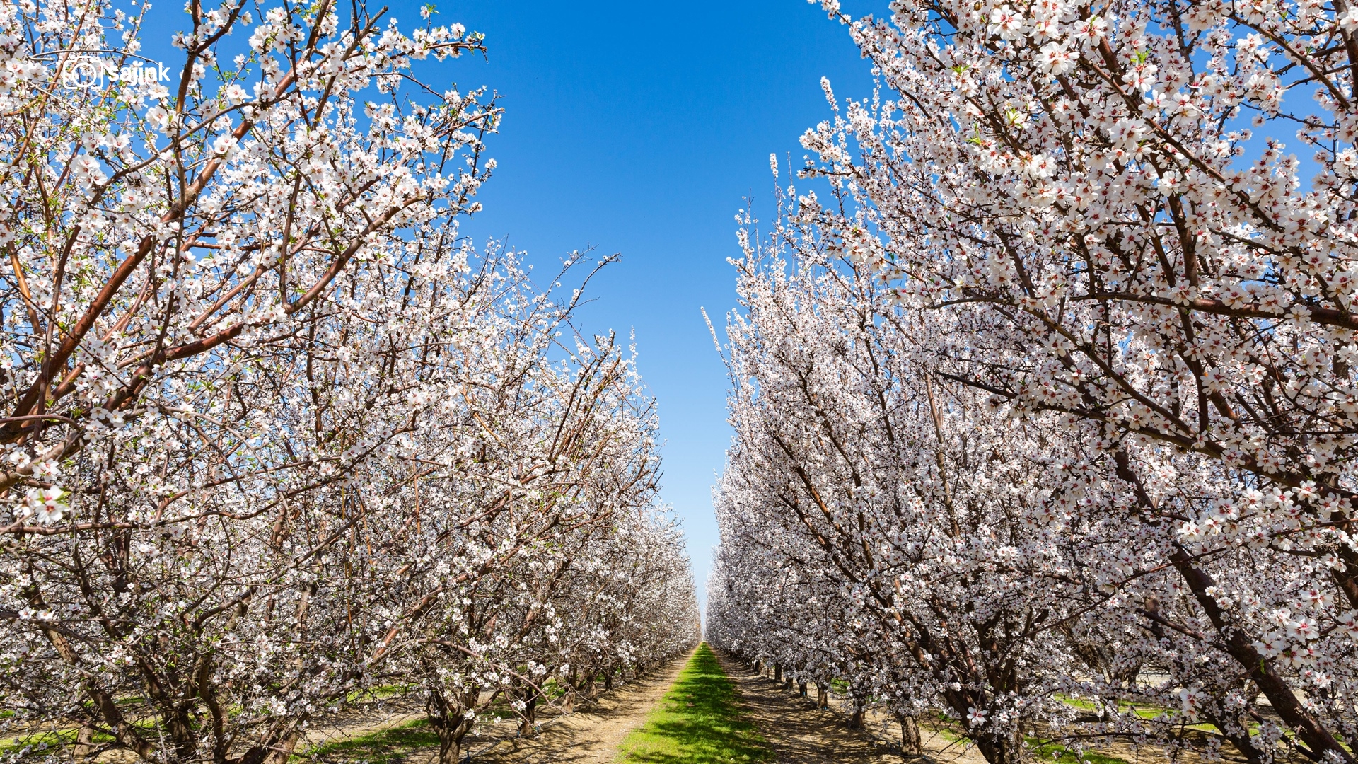Arvin, Kern County, California