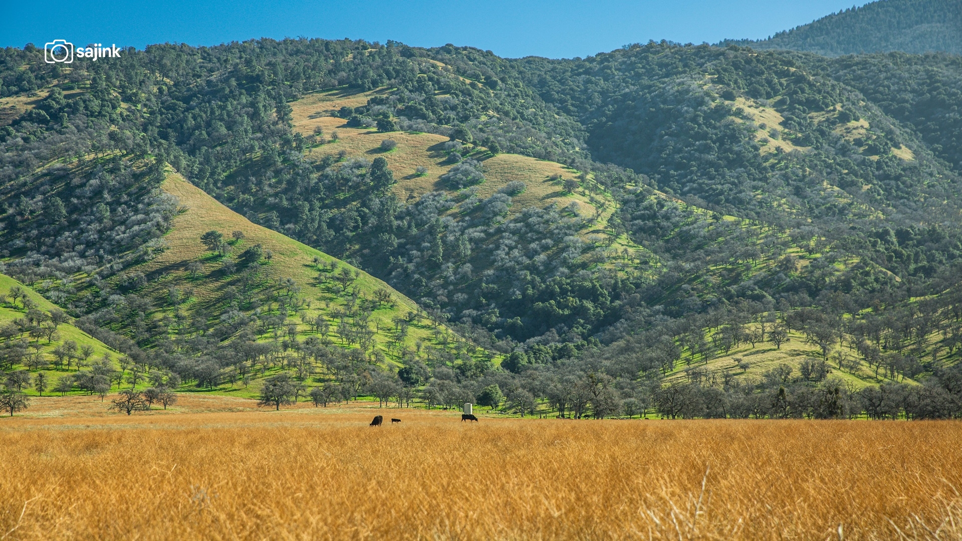 Arvin, Kern County, California