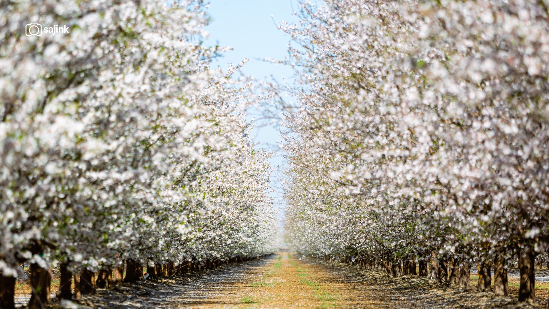 Arvin, Kern County, California