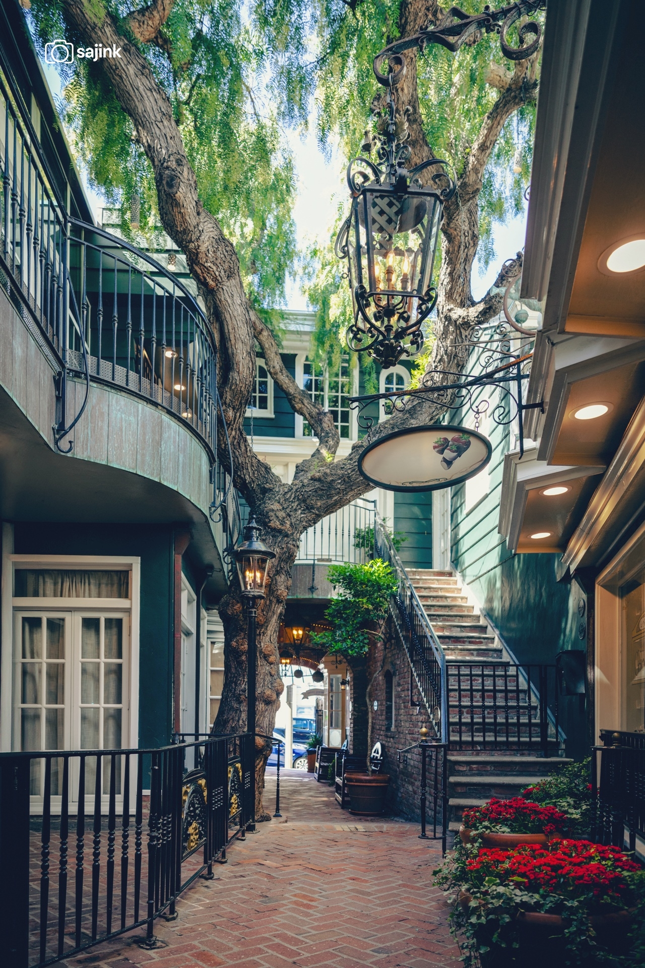 Pepper Tree Lane, Laguna Beach, California