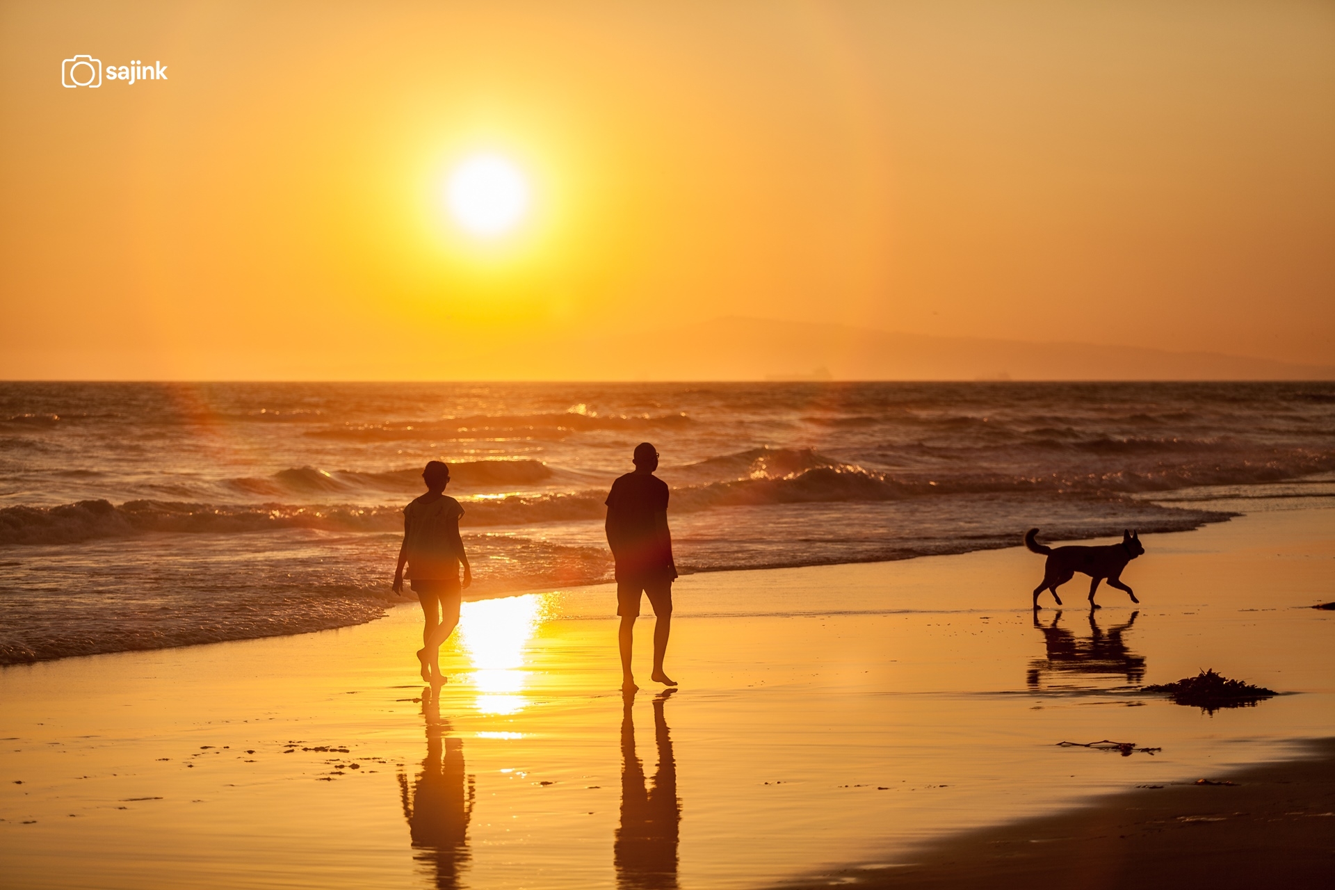 Dog Beach, Huntington Beach, California